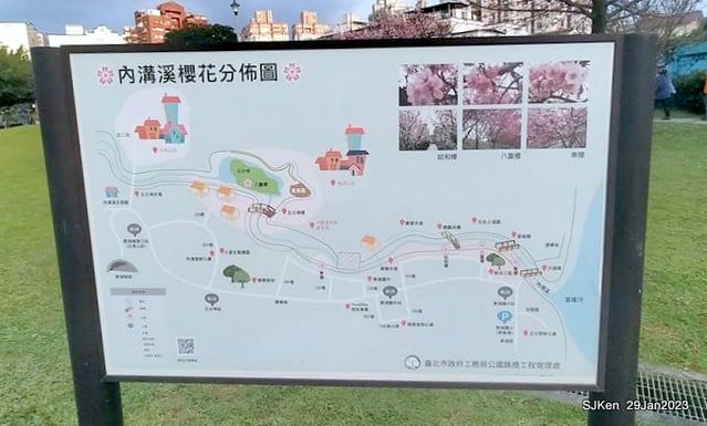 「2023內湖樂活公園賞櫻」(Cherryblossoms at Ne-hu park, Taipei, Taiwan, SJKen, Jan 29, 2023.