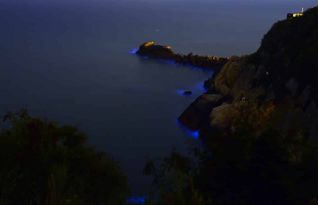 馬祖景點 - 藍眼淚 