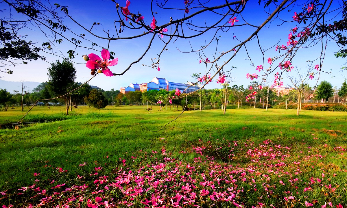 国立暨南国际大学