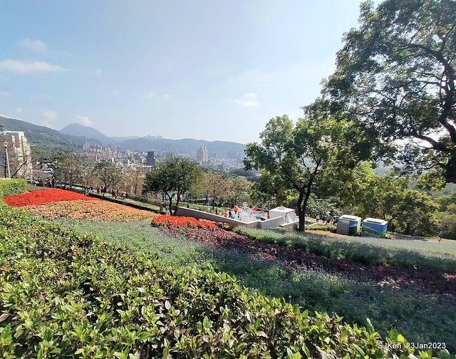 「北投社三層崎花海公園」(Ki-Pataw Shan-Tseng-Chi Park)與北投公園，SJKen , Taipei, Taiwan, Jan 23, 2023.