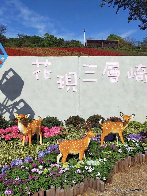 「北投社三層崎花海公園」(Ki-Pataw Shan-Tseng-Chi Park)與北投公園，SJKen , Taipei, Taiwan, Jan 23, 2023.