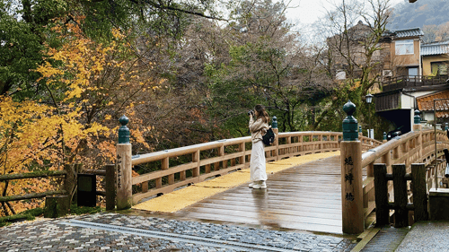 袋帯 新品 本金箔 日本百景 加賀百萬国 兼六園 全通 正絹 www