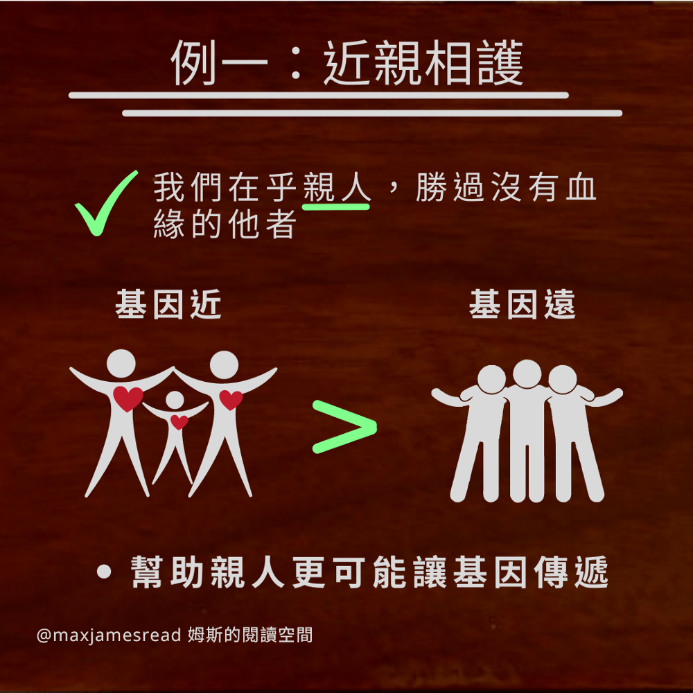 By〈姆斯的閱讀空間〉