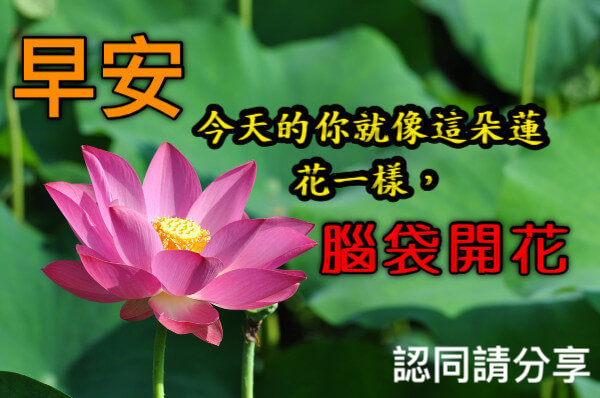 長輩圖