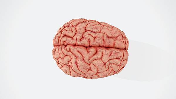 書評-《全腦人生》:認識腦中的四大人格,在最好的時刻遇見最好