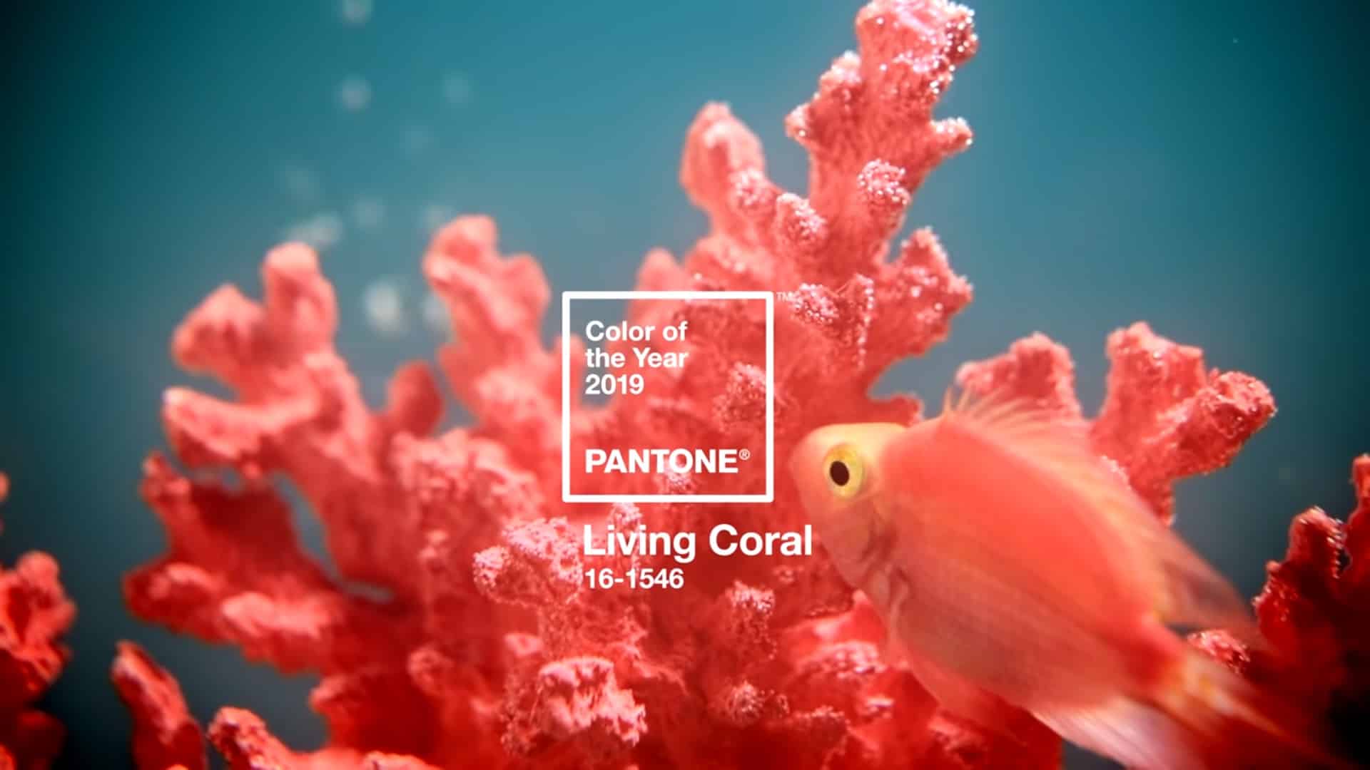 2019年:PANTONE 16–1546 Living Coral