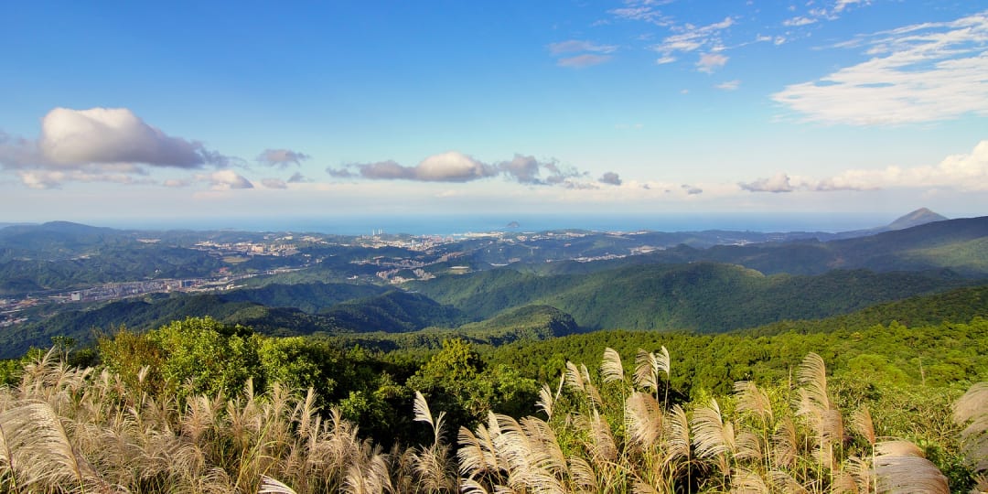 新北市休閒登山步道:姜子寮