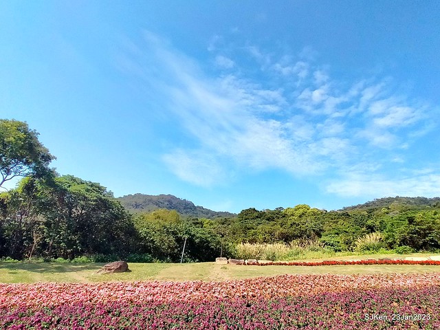 「北投社三層崎花海公園」(Ki-Pataw Shan-Tseng-Chi Park)與北投公園，SJKen , Taipei, Taiwan, Jan 23, 2023.