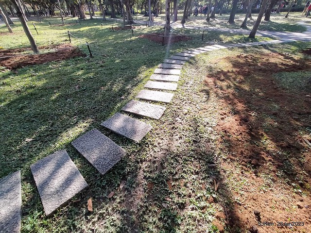 2023兔年正月初一「大安森林公园」走春(DaAn forest park ), Taipei, Taiwan, SJKen, Jan 23, 2023.
