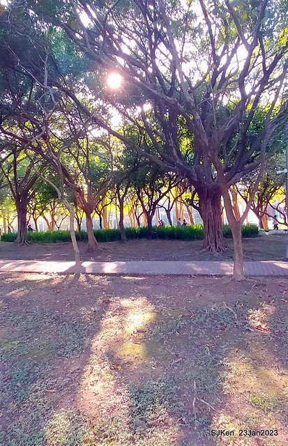 2023兔年正月初一「大安森林公园」走春(DaAn forest park ), Taipei, Taiwan, SJKen, Jan 23, 2023.