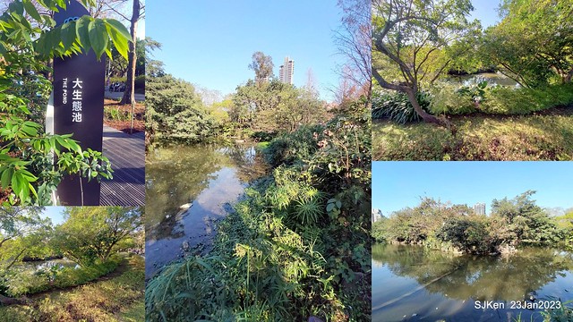 2023兔年正月初一「大安森林公园」走春(DaAn forest park ), Taipei, Taiwan, SJKen, Jan 23, 2023.