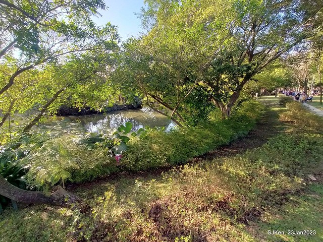2023兔年正月初一「大安森林公园」走春(DaAn forest park ), Taipei, Taiwan, SJKen, Jan 23, 2023.