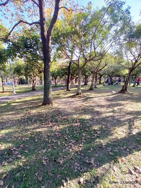 2023兔年正月初一「大安森林公园」走春(DaAn forest park ), Taipei, Taiwan, SJKen, Jan 23, 2023.