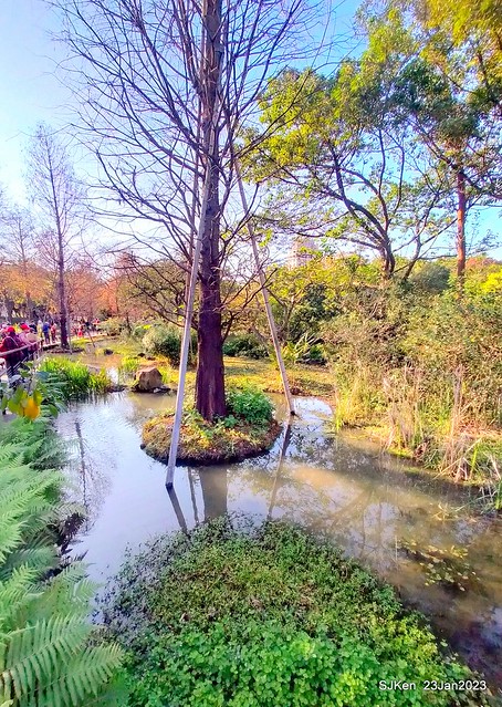 2023兔年正月初一「大安森林公園」走春(DaAn forest park ), Taipei, Taiwan, SJKen, Jan 23, 2023.