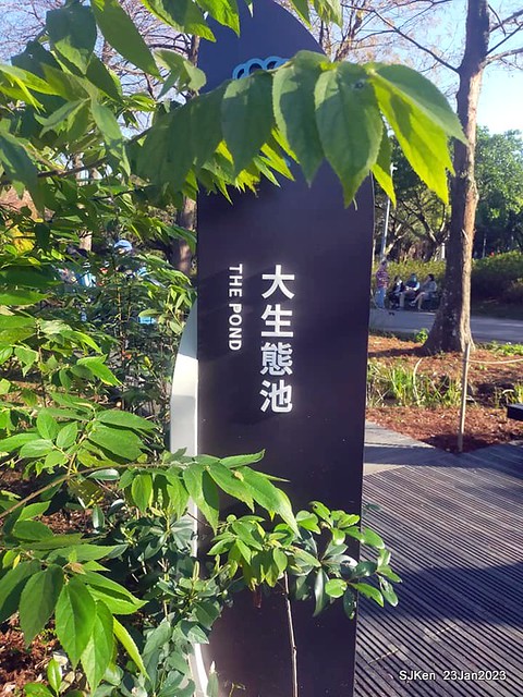2023兔年正月初一「大安森林公园」走春(DaAn forest park ), Taipei, Taiwan, SJKen, Jan 23, 2023.