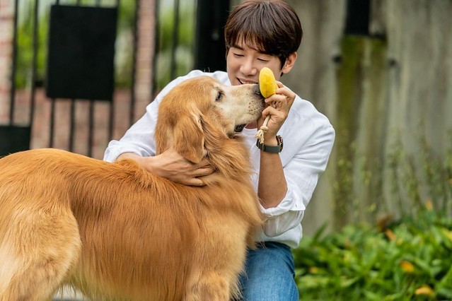 The Movie posters and stills of Korean Movie "韓國電影《超完美狗保姆》(My Puppy)" will be launching from Mar 10, 2023 in Taiwan onwards.