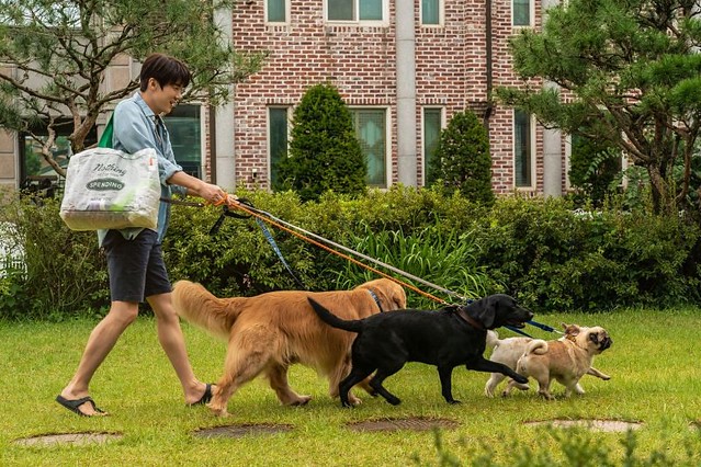 The Movie posters and stills of Korean Movie "韓國電影《超完美狗保姆》(My Puppy)" will be launching from Mar 10, 2023 in Taiwan onwards.