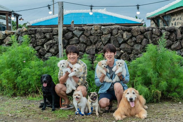 The Movie posters and stills of Korean Movie "韓國電影《超完美狗保姆》(My Puppy)" will be launching from Mar 10, 2023 in Taiwan onwards.