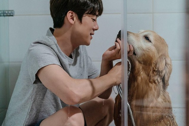 The Movie posters and stills of Korean Movie "韓國電影《超完美狗保姆》(My Puppy)" will be launching from Mar 10, 2023 in Taiwan onwards.