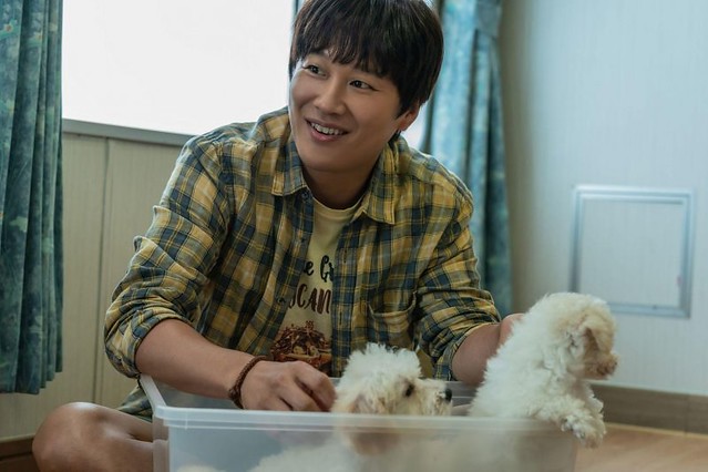 The Movie posters and stills of Korean Movie "韓國電影《超完美狗保姆》(My Puppy)" will be launching from Mar 10, 2023 in Taiwan onwards.