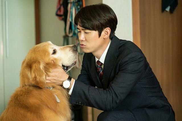 The Movie posters and stills of Korean Movie "韓國電影《超完美狗保姆》(My Puppy)" will be launching from Mar 10, 2023 in Taiwan onwards.