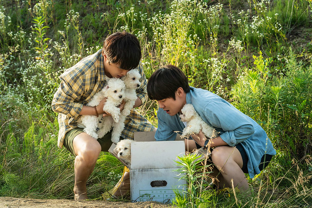 The Movie posters and stills of Korean Movie "韓國電影《超完美狗保姆》(My Puppy)" will be launching from Mar 10, 2023 in Taiwan onwards.
