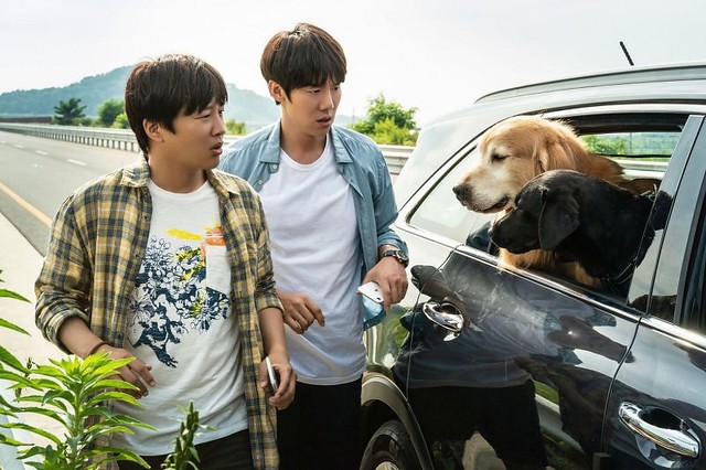 The Movie posters and stills of Korean Movie "韓國電影《超完美狗保姆》(My Puppy)" will be launching from Mar 10, 2023 in Taiwan onwards.