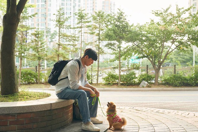 The Movie posters and stills of Korean Movie "韓國電影《花漾奶奶金難搞》(룸 쉐어링/My Perfect Roommate)" will be launching from Nov 3, 2023 onwards.