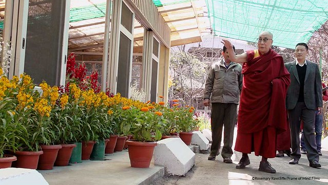 Tenzin Gyatso, the 14th Dalai Lama in His Own Words)" will be launching from Dec 8, 2023 onwardsin Taiwan.