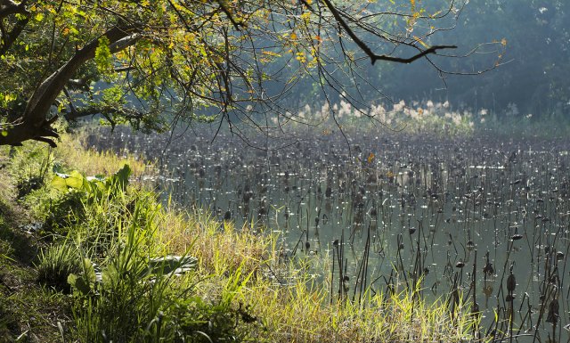 dcf-travel-img-29558