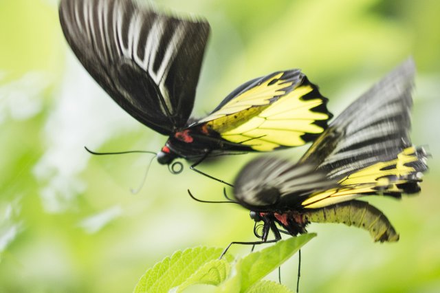 dcf-travel-img-35108