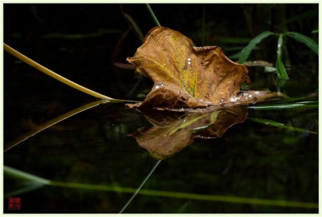 dcf-travel-img-43115