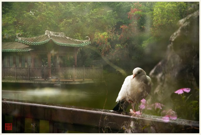 dcf-travel-img-44685