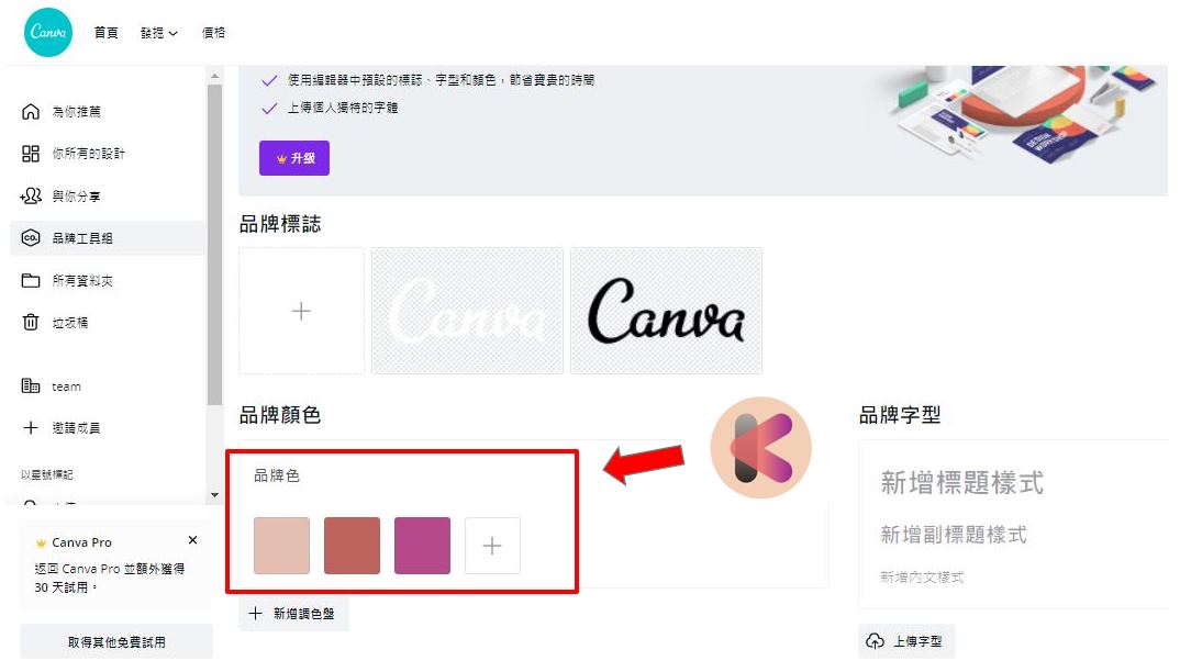 Canva教学 品牌色5