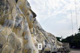 _DSC1390拷貝