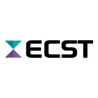 E-COMMERCE SYSTEM TECHNOLOGY LIMITED