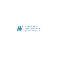 Makemark Intellience Global Holding Limited